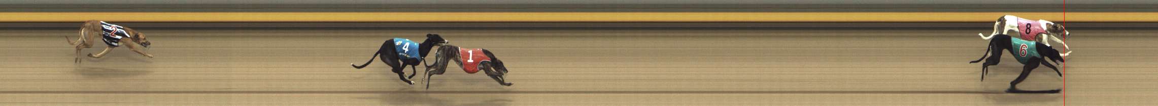 Photo finish for Shepparton Race 9