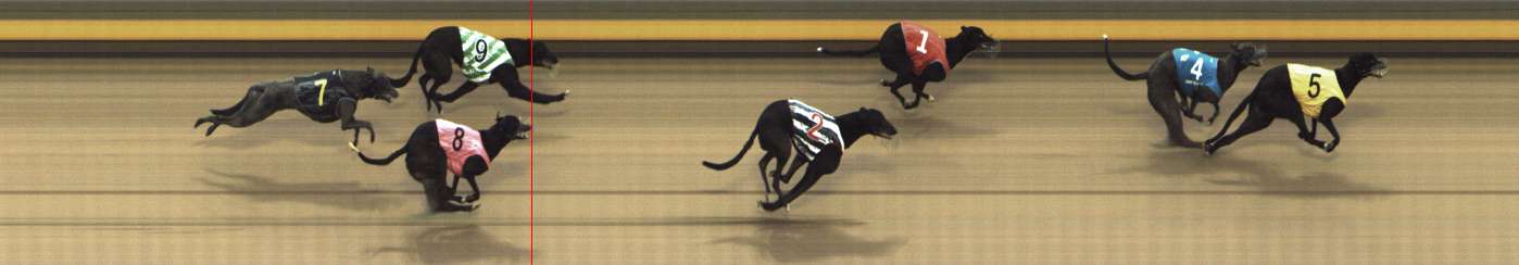 Photo finish for Shepparton Race 10