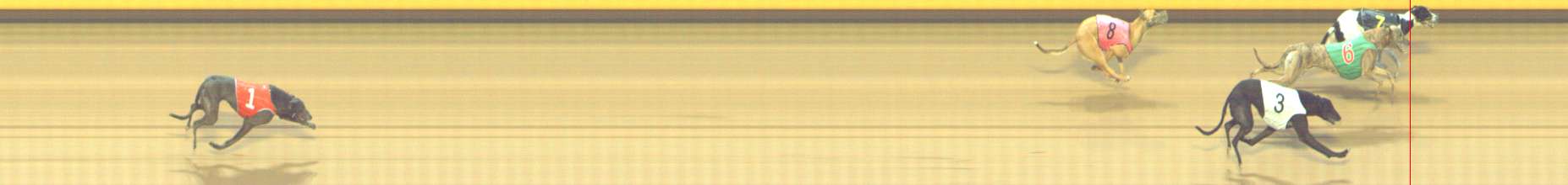 Photo finish for Shepparton Race 11