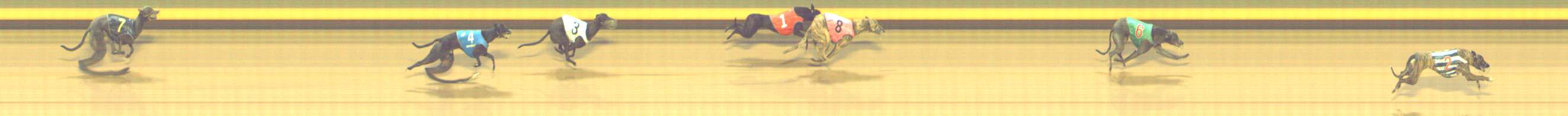 Photo finish for Shepparton Race 12