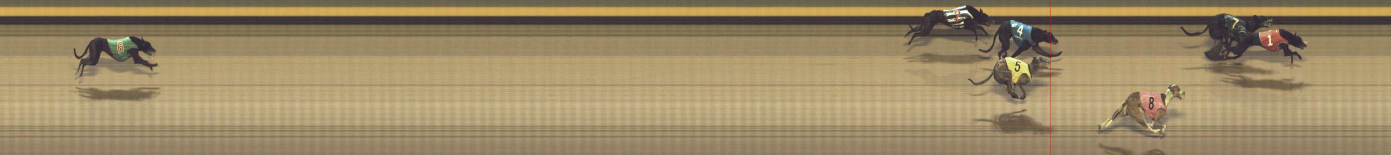 Photo finish for Shepparton Race 13