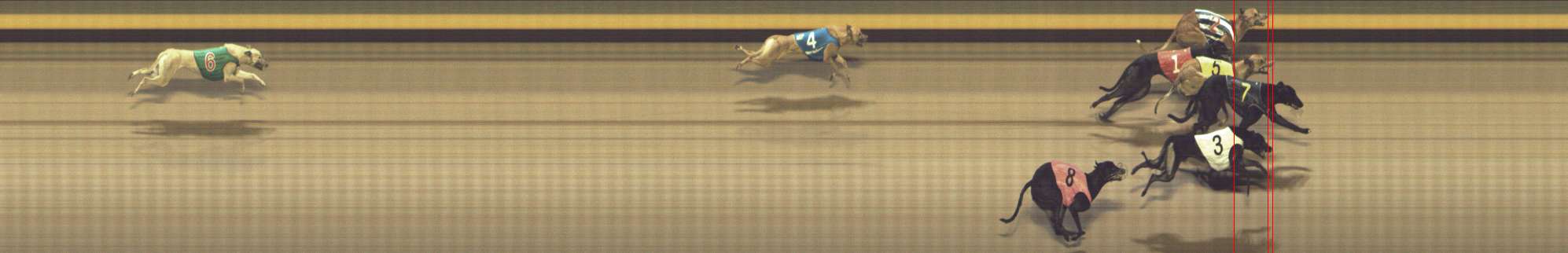 Photo finish for Shepparton Race 14