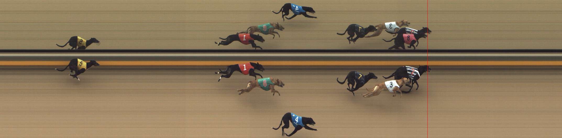 Photo finish for Shepparton Race 3