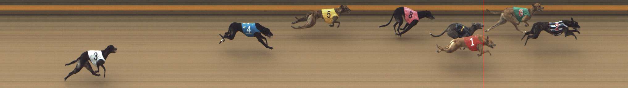 Photo finish for Shepparton Race 6