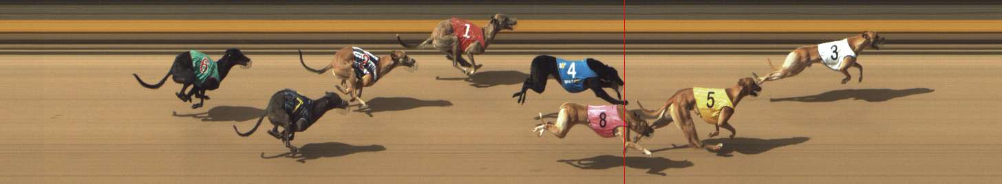 Photo finish for Shepparton Race 7