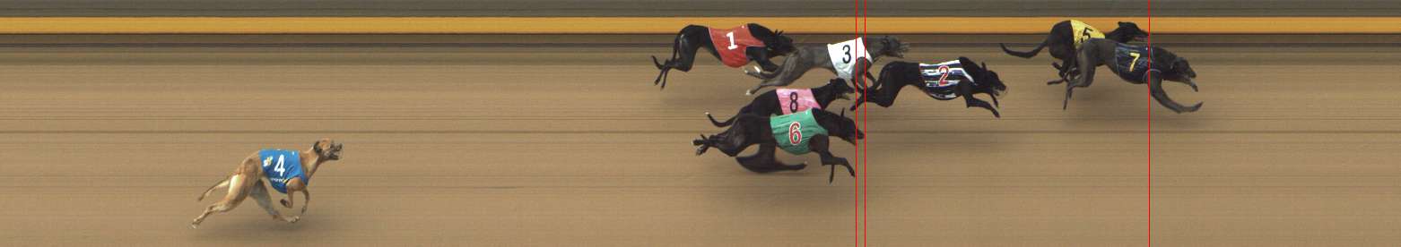 Photo finish for Shepparton Race 8