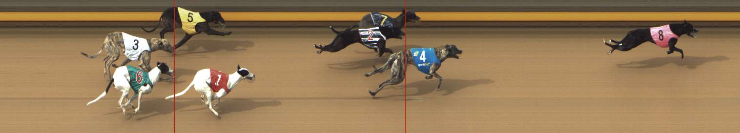 Photo finish for Shepparton Race 9