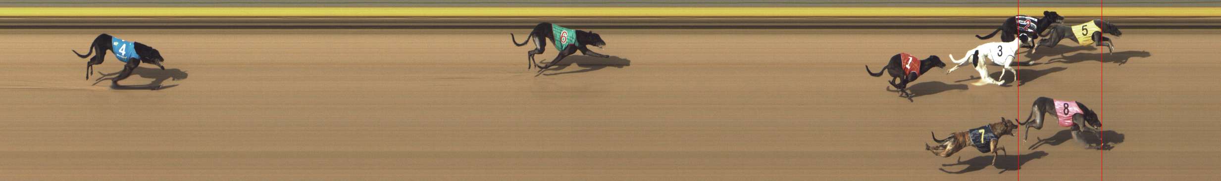 Photo finish for Shepparton Race 10