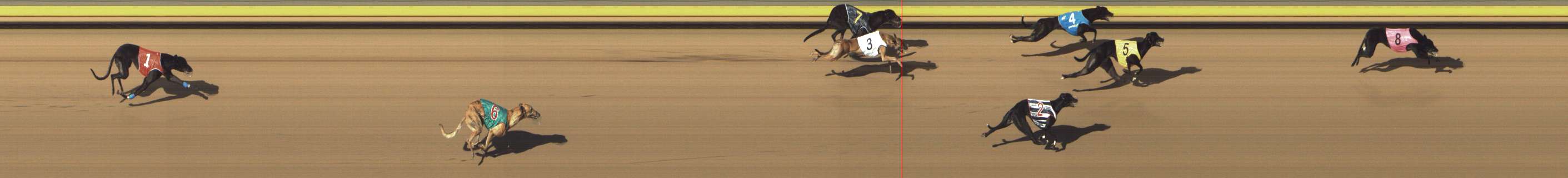 Photo finish for Shepparton Race 11