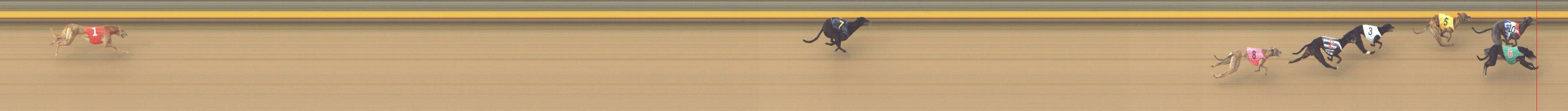 Photo finish for Shepparton Race 12