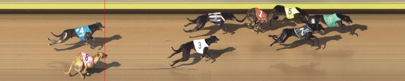 Photo finish for Shepparton Race 13