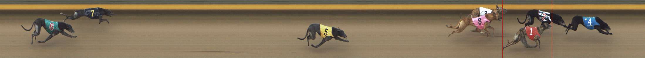 Photo finish for Shepparton Race 14