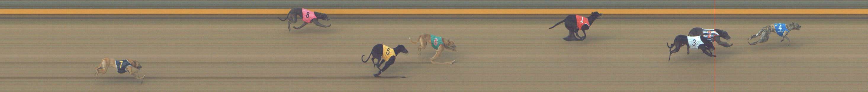 Photo finish for Shepparton Race 1
