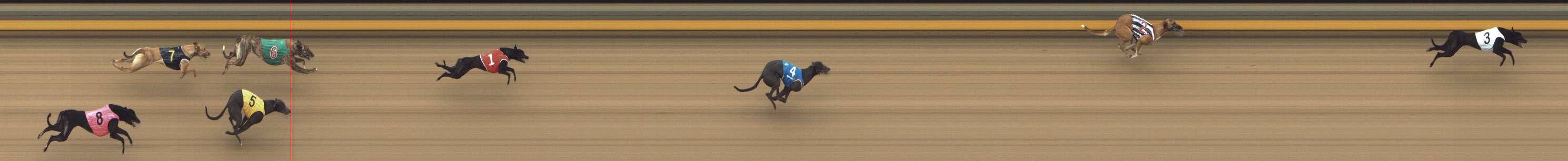 Photo finish for Shepparton Race 2