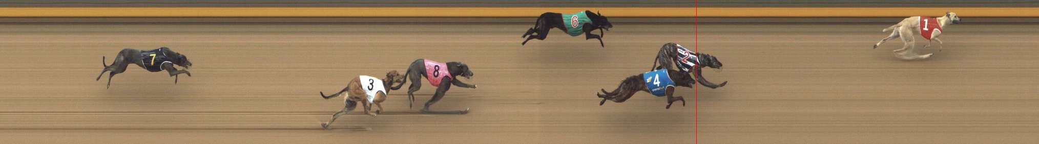Photo finish for Shepparton Race 4
