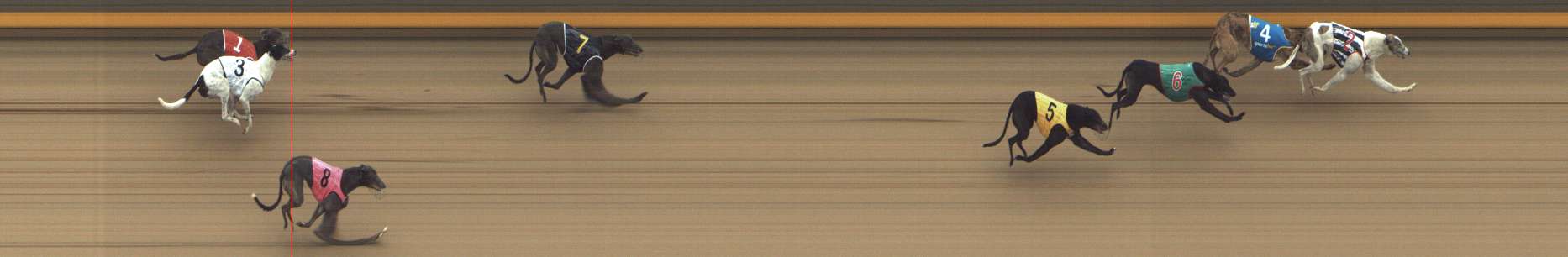 Photo finish for Shepparton Race 5