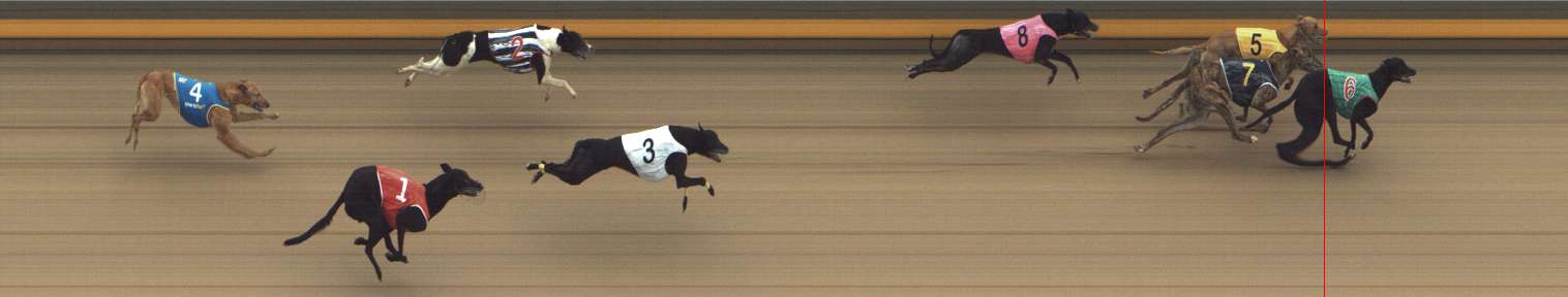 Photo finish for Shepparton Race 6
