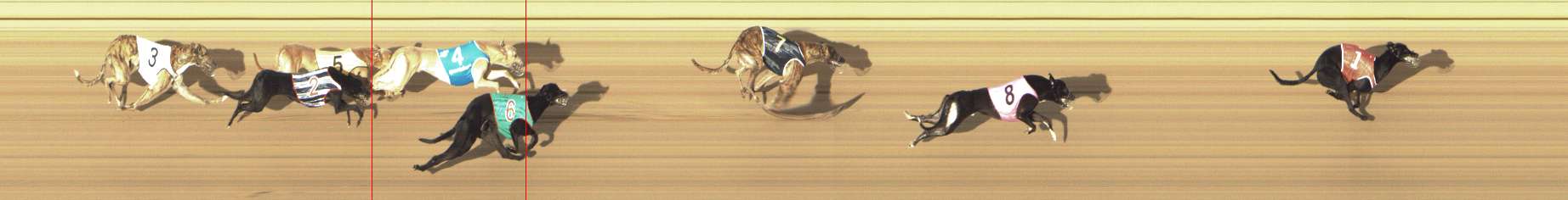 Photo finish for Shepparton Race 7