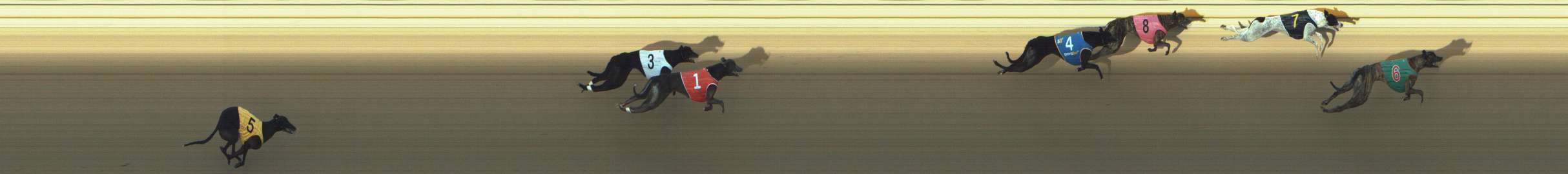 Photo finish for Shepparton Race 8