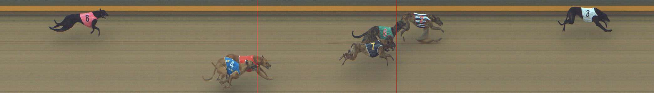 Photo finish for Shepparton Race 9