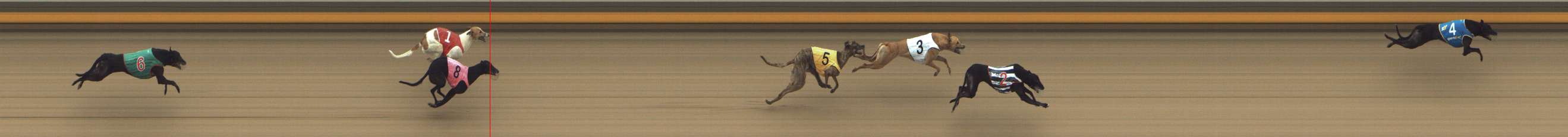Photo finish for Shepparton Race 10