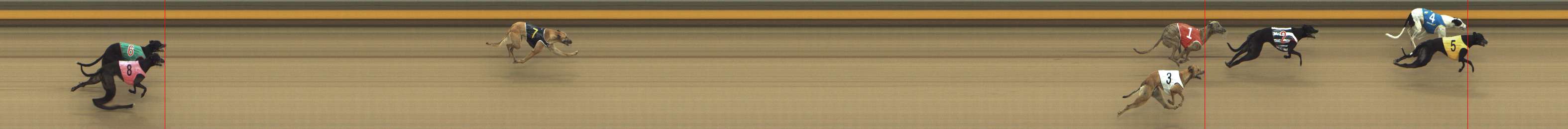 Photo finish for Shepparton Race 11