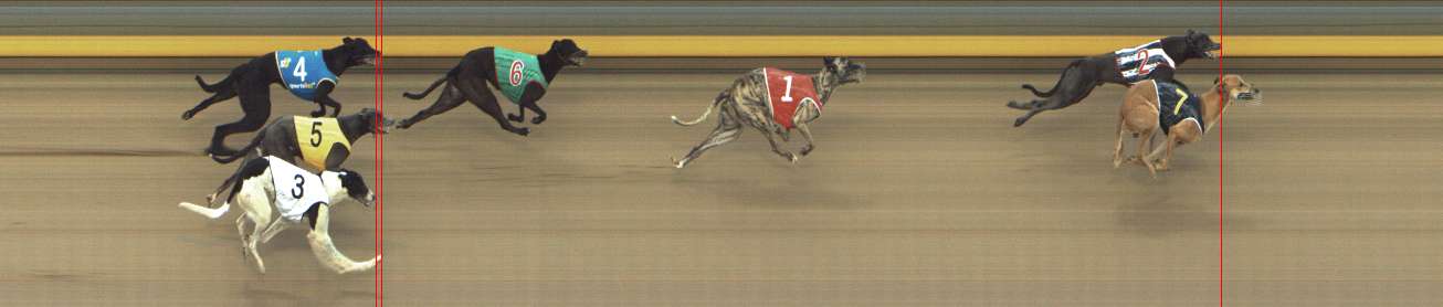 Photo finish for Shepparton Race 12