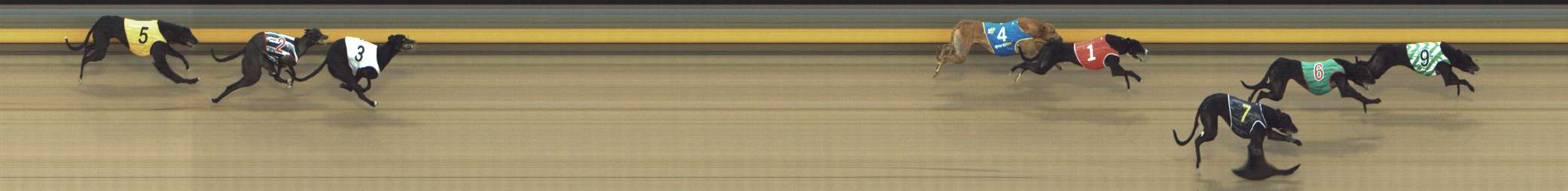 Photo finish for Shepparton Race 13