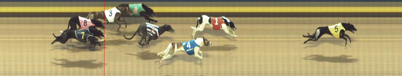 Photo finish for Shepparton Race 14