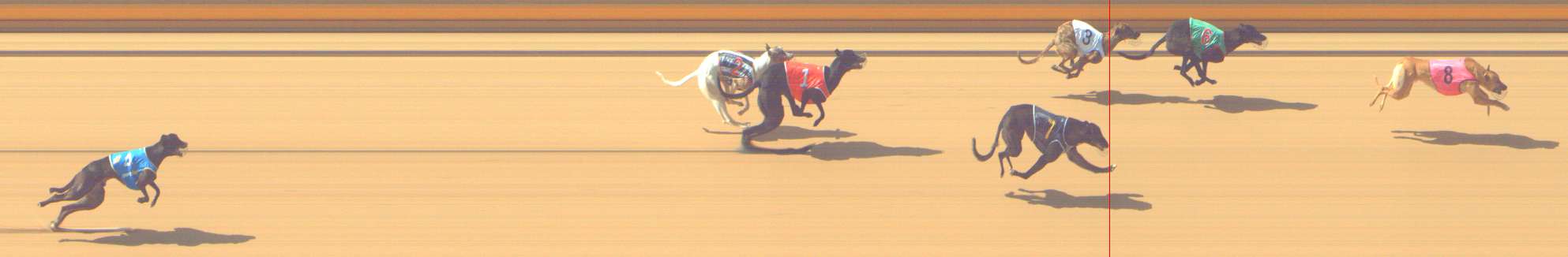 Photo finish for Shepparton Race 1