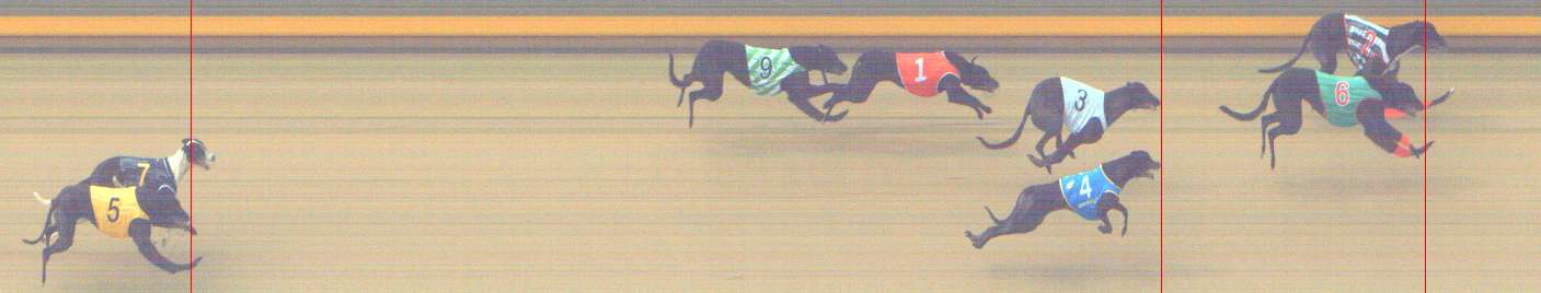Photo finish for Shepparton Race 2