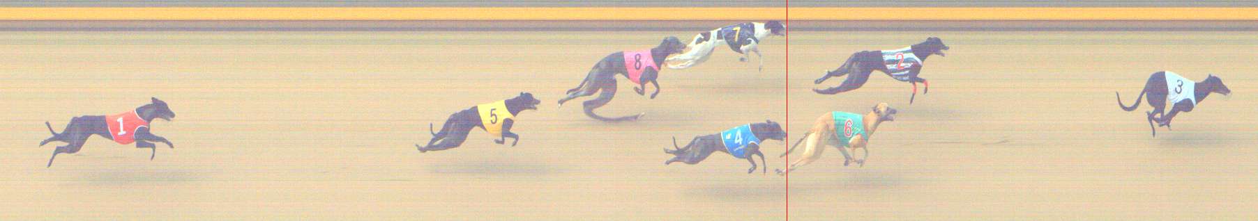 Photo finish for Shepparton Race 3