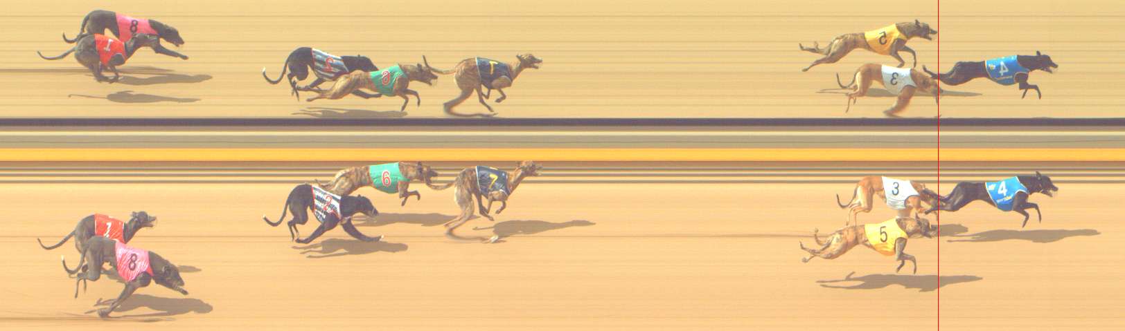Photo finish for Shepparton Race 6