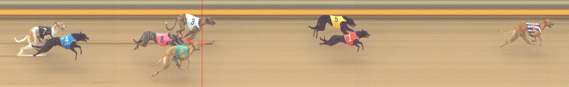 Photo finish for Shepparton Race 7