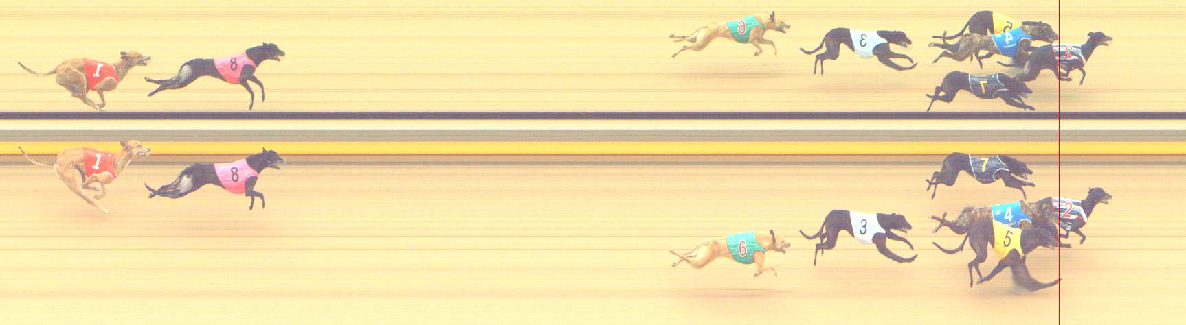 Photo finish for Shepparton Race 8