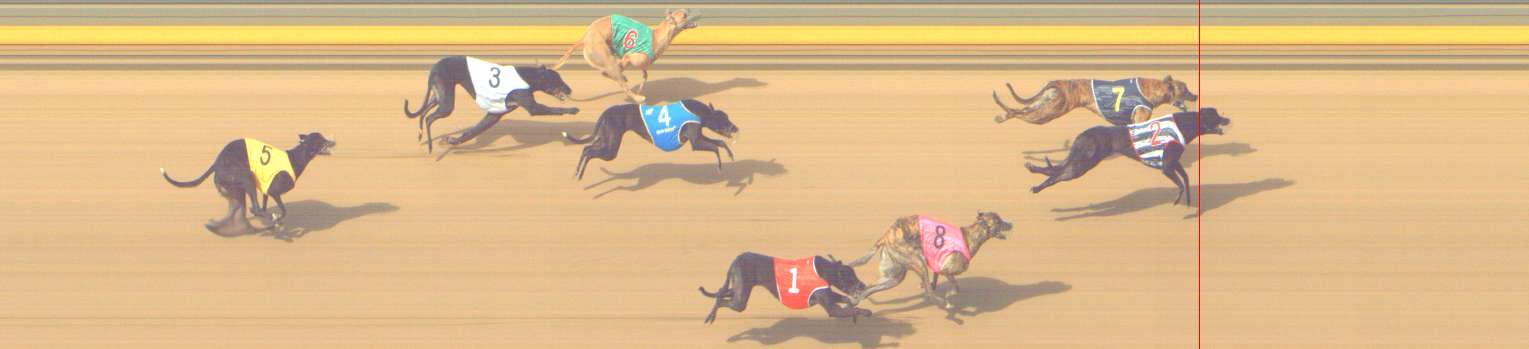 Photo finish for Shepparton Race 9