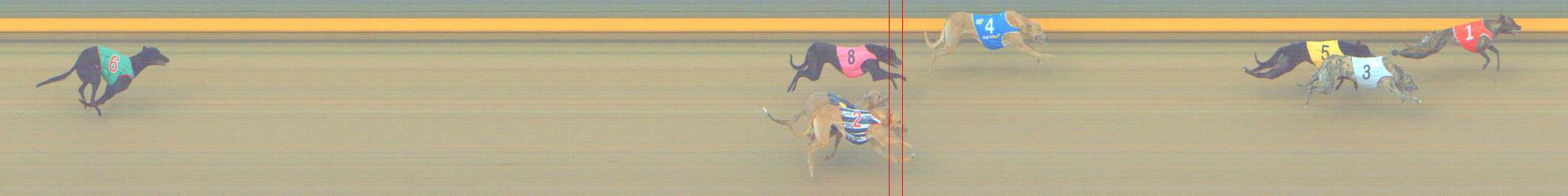 Photo finish for Shepparton Race 10