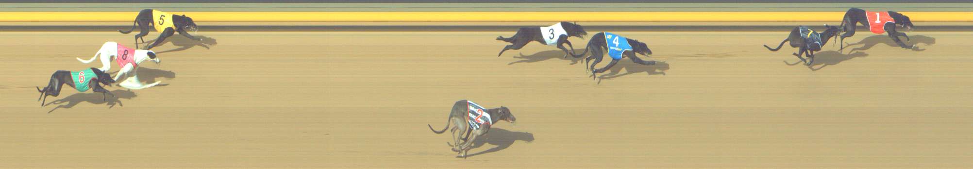 Photo finish for Shepparton Race 11