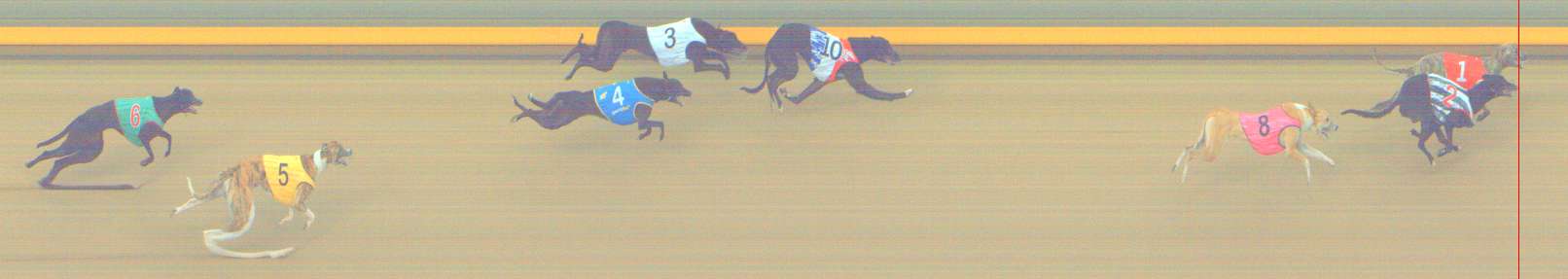 Photo finish for Shepparton Race 12
