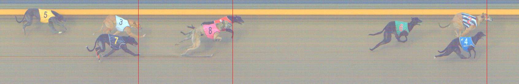 Photo finish for Shepparton Race 14