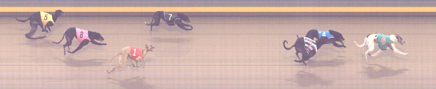 Photo finish for Shepparton Race 1