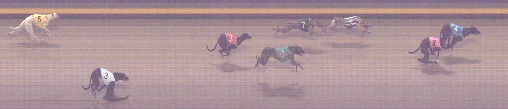 Photo finish for Shepparton Race 2