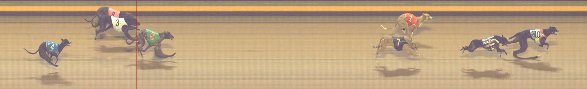 Photo finish for Shepparton Race 3