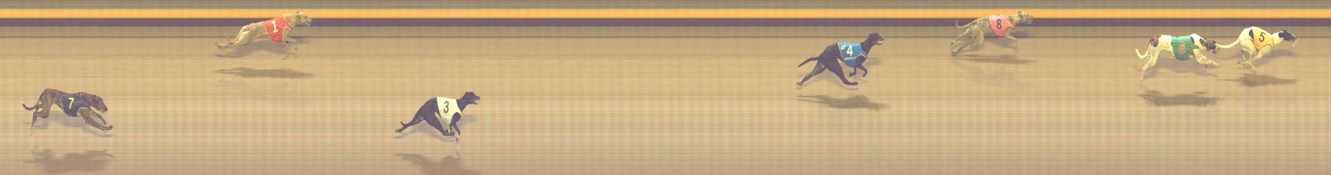 Photo finish for Shepparton Race 4