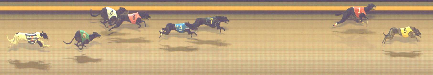 Photo finish for Shepparton Race 5