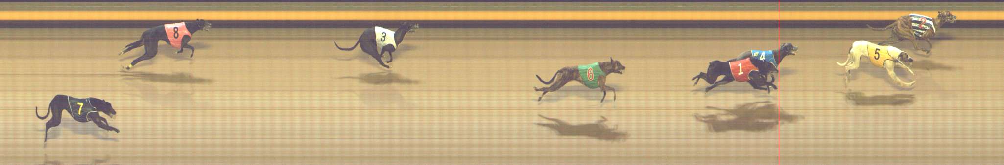 Photo finish for Shepparton Race 6