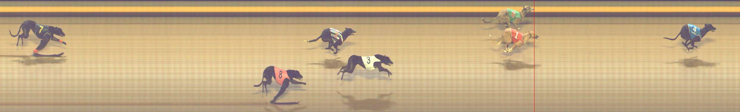 Photo finish for Shepparton Race 7