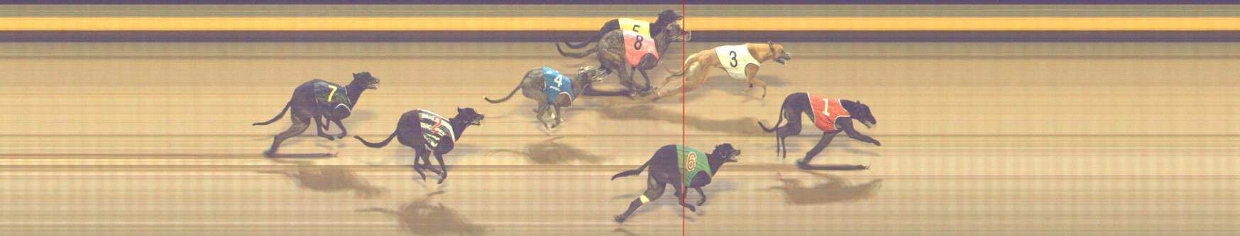 Photo finish for Shepparton Race 8