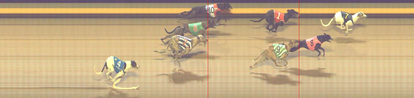 Photo finish for Shepparton Race 9