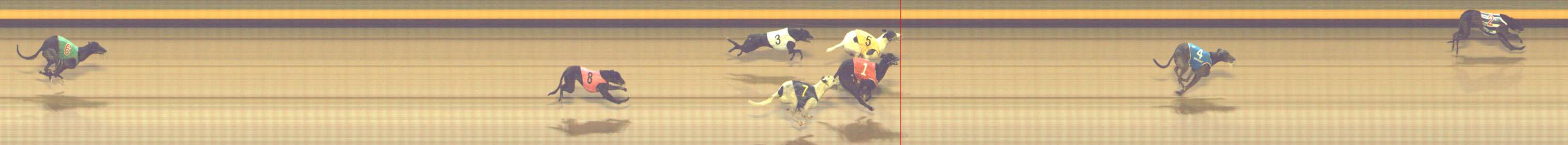 Photo finish for Shepparton Race 10